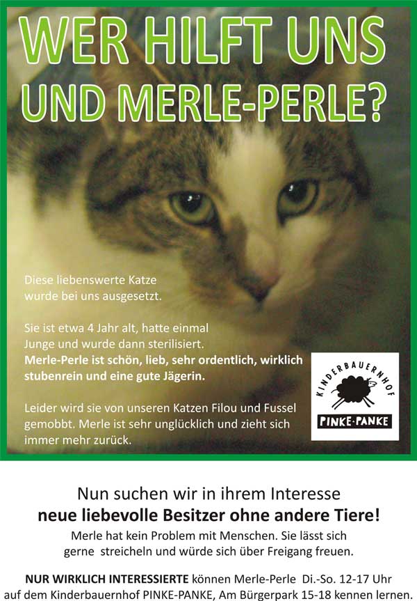 katzenabgabe-Merle